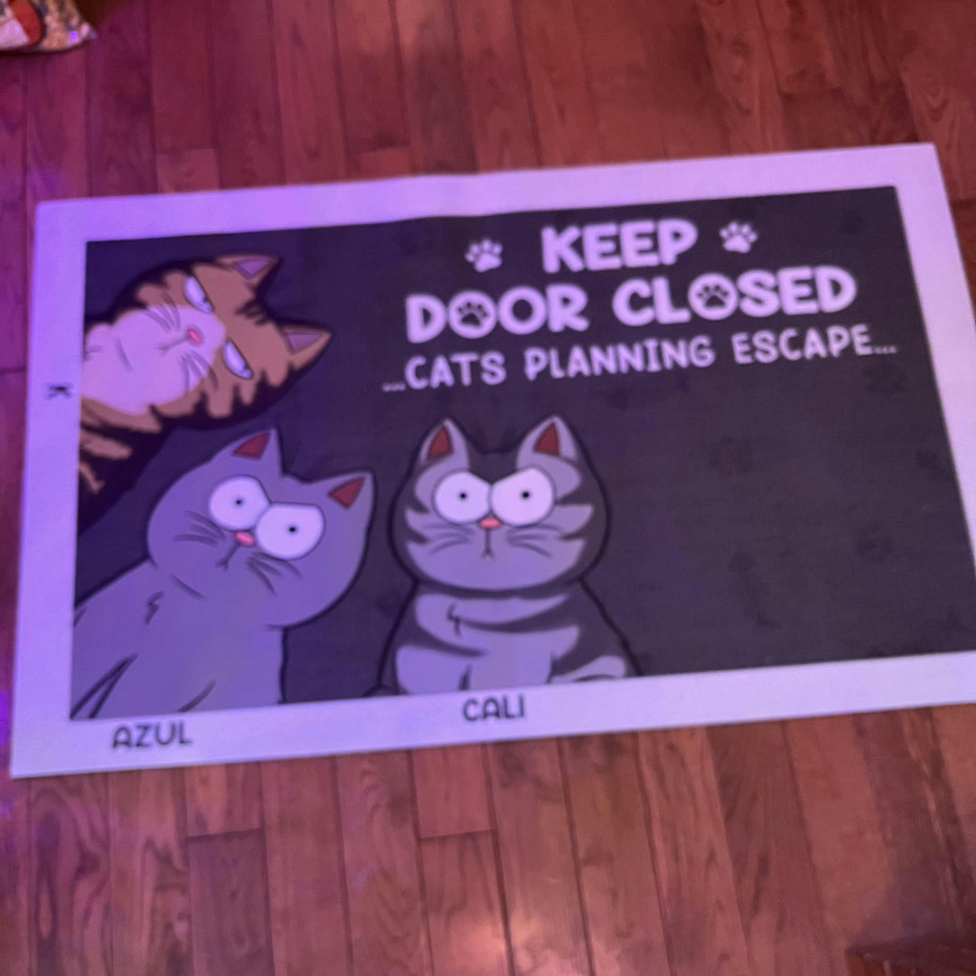 Don't Let The Cat Out No Matter What He Tells You - Cat Personalized Custom Home Decor Decorative Mat
