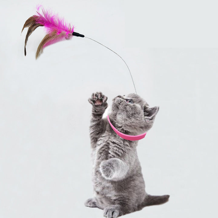 Katzenspielzeug Halsband Halsband Federglocke Katze