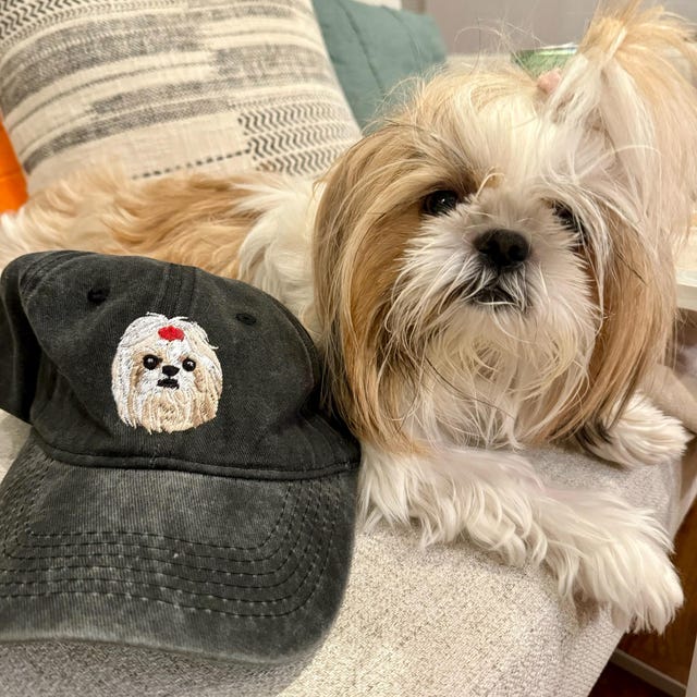 Custom Dog Hat Baseball Cap Birthday Gift For Her