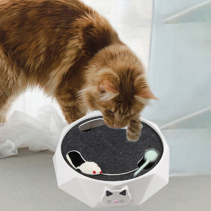 Electric mousetrap turntable cat toy