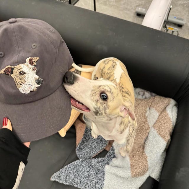 Custom Dog Hat Baseball Cap Birthday Gift For Her