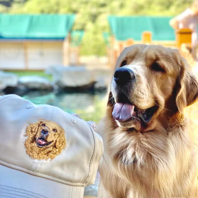 Custom Dog Hat Baseball Cap Birthday Gift For Her