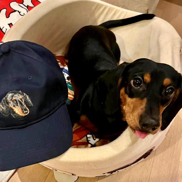 Custom Dog Hat Baseball Cap Birthday Gift For Her