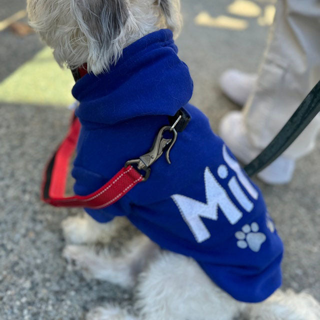 Personalized Dog Hoodie - Embroidered Name Pet Hoodie