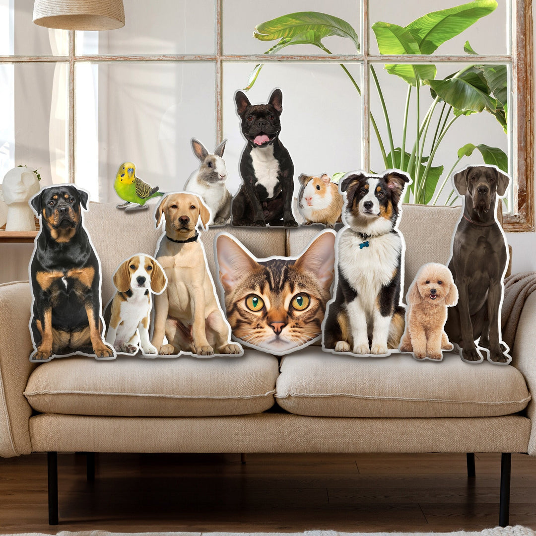 Personalized pet cushions, custom 3d pet cushions, ugly pet cushions