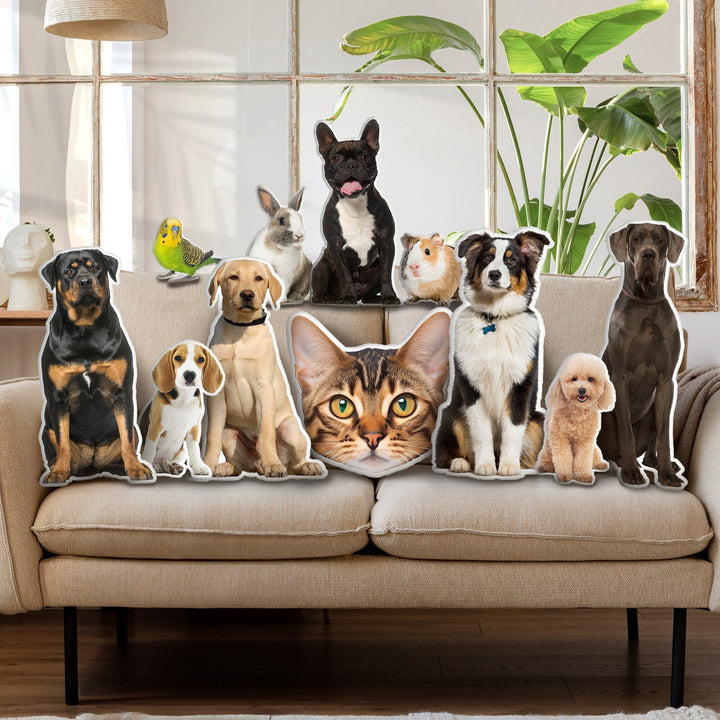 Personalized pet cushions, custom 3d pet cushions, ugly pet cushions