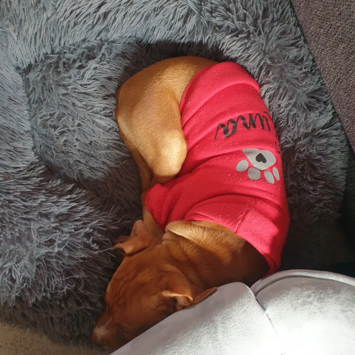 Sweat à capuche personnalisé à imprimé patte scintillante, doux et chaud, pour chien et chat