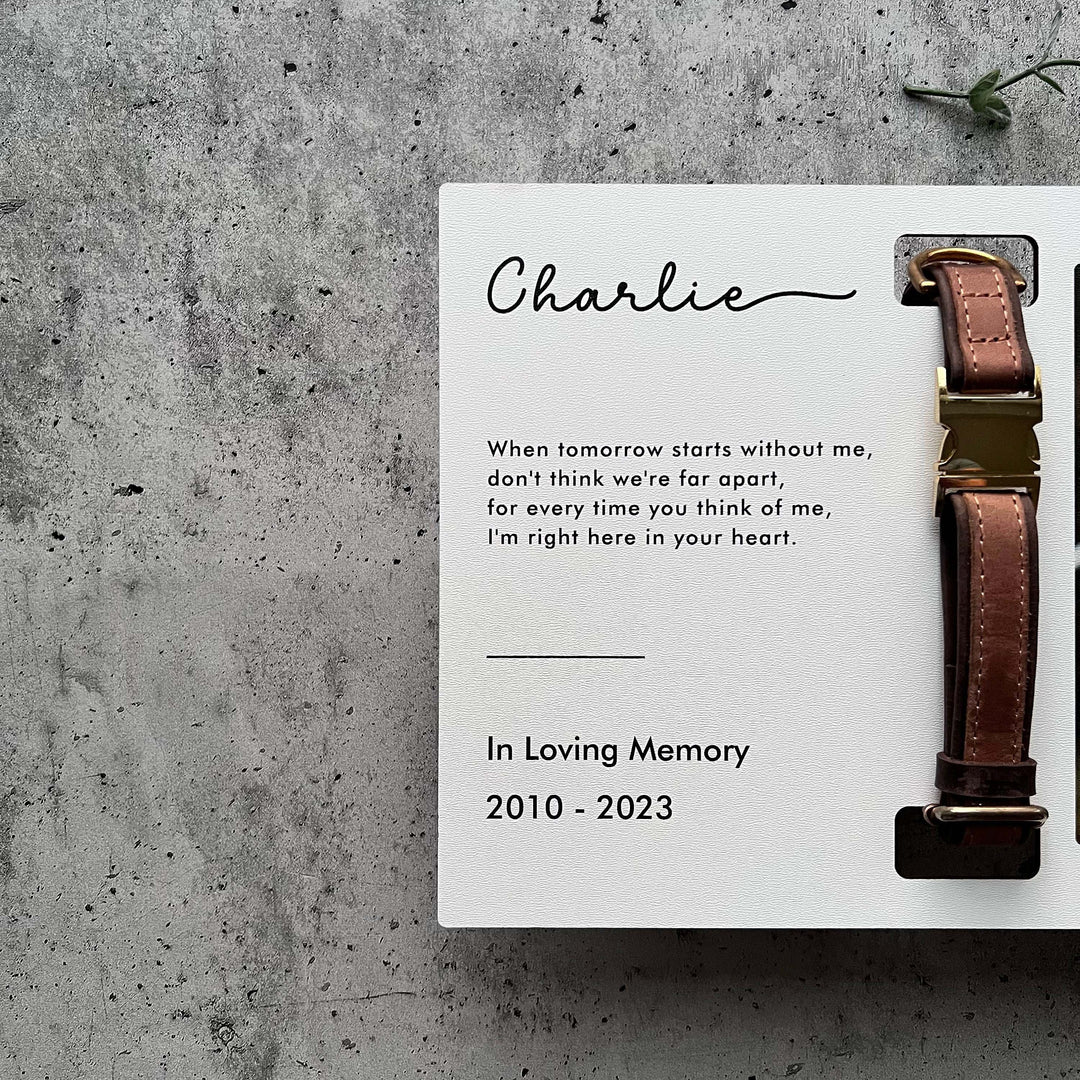 Custom Memorial Standing Frame, Pet Loss Gift, Memorial Pet Collar With Photo, Pet Collar Holder, Dog Bereavement