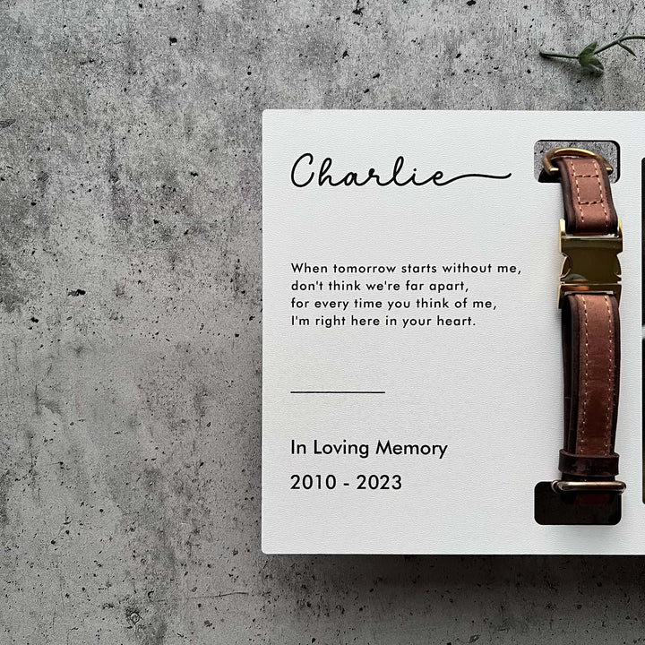 Custom Memorial Standing Frame, Pet Loss Gift, Memorial Pet Collar With Photo, Pet Collar Holder, Dog Bereavement