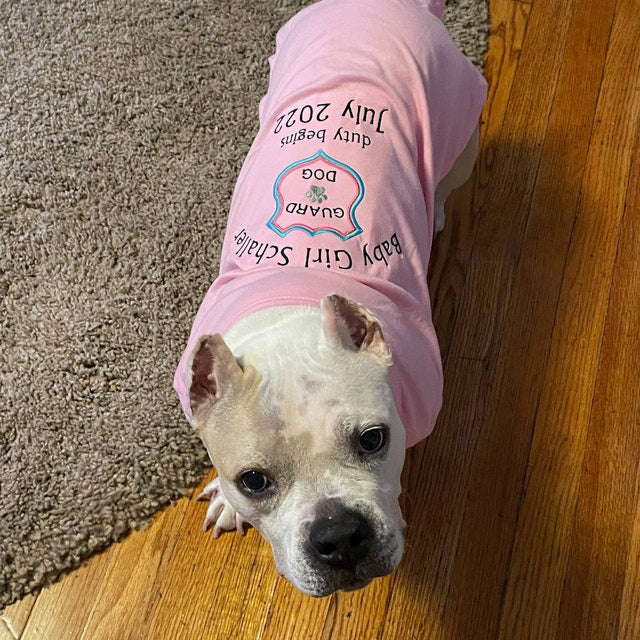 Annonce de grossesse pour chien - Annonce de grossesse pour chien - T-shirt d'annonce - T-shirt de grossesse pour chien - Révélation de grossesse pour chien - T-shirt grand frère pour chien 
