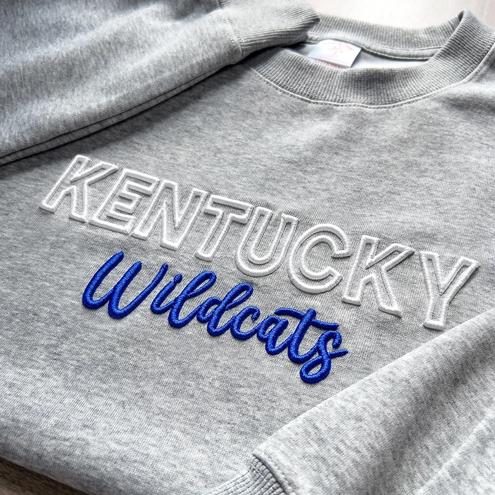 Custom 3D PUFF Embroidery Team Sweatshirt / Hoodie
