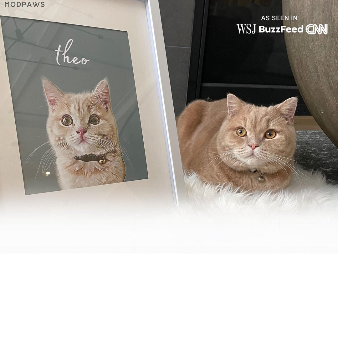 Custom Pet Portraits Using Pet Photo Personalized Digita