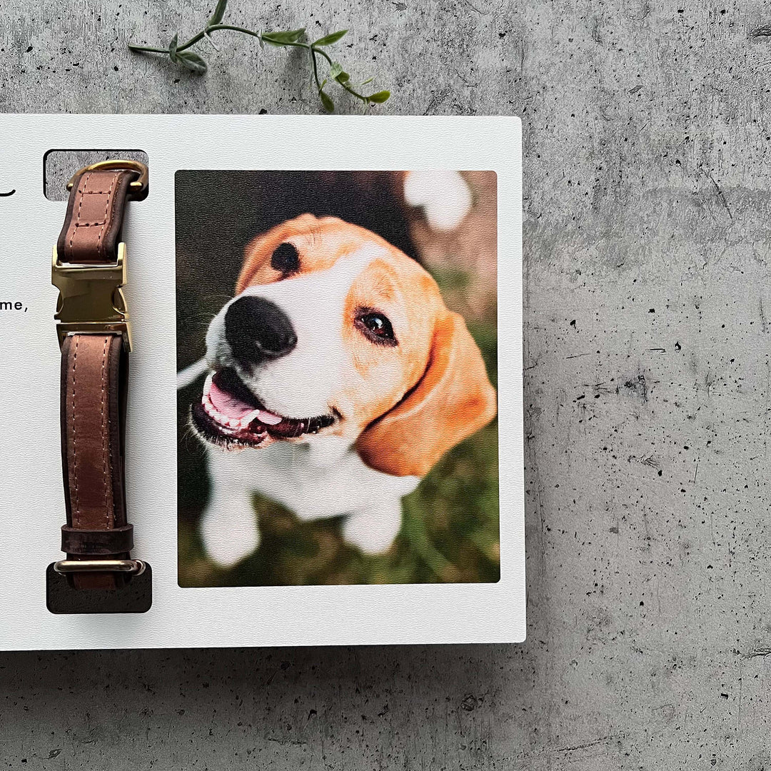 Custom Memorial Standing Frame, Pet Loss Gift, Memorial Pet Collar With Photo, Pet Collar Holder, Dog Bereavement
