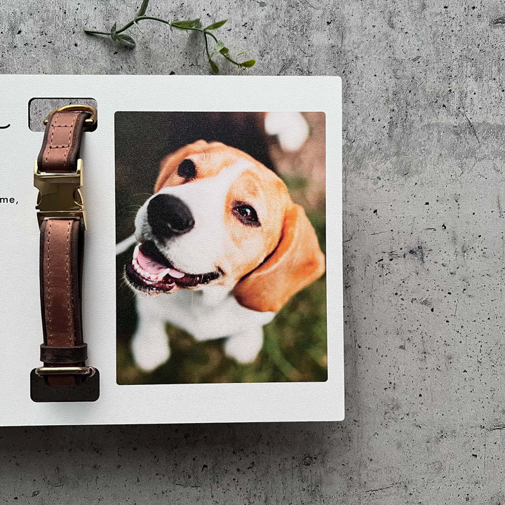 Custom Memorial Standing Frame, Pet Loss Gift, Memorial Pet Collar With Photo, Pet Collar Holder, Dog Bereavement