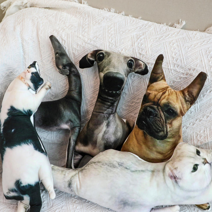 Personalized pet cushions, custom 3d pet cushions, ugly pet cushions