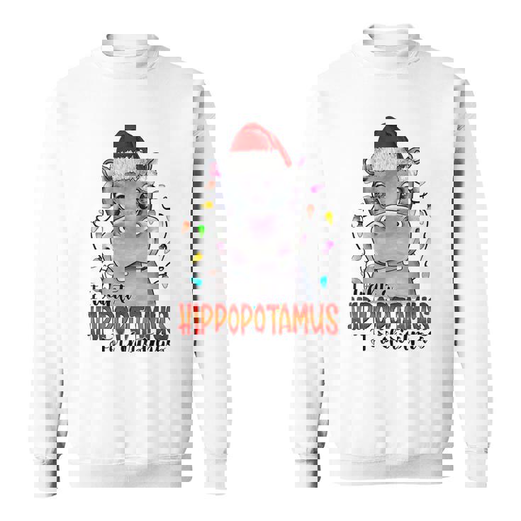I Want A Hippopotamus For Christmas Hippo Xmas Season sweatshirt