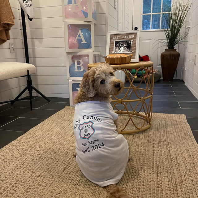 Annonce de grossesse pour chien - Annonce de grossesse pour chien - T-shirt d'annonce - T-shirt de grossesse pour chien - Révélation de grossesse pour chien - T-shirt grand frère pour chien 