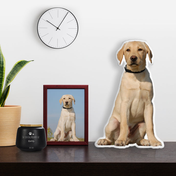 Personalized pet cushions, custom 3d pet cushions, ugly pet cushions