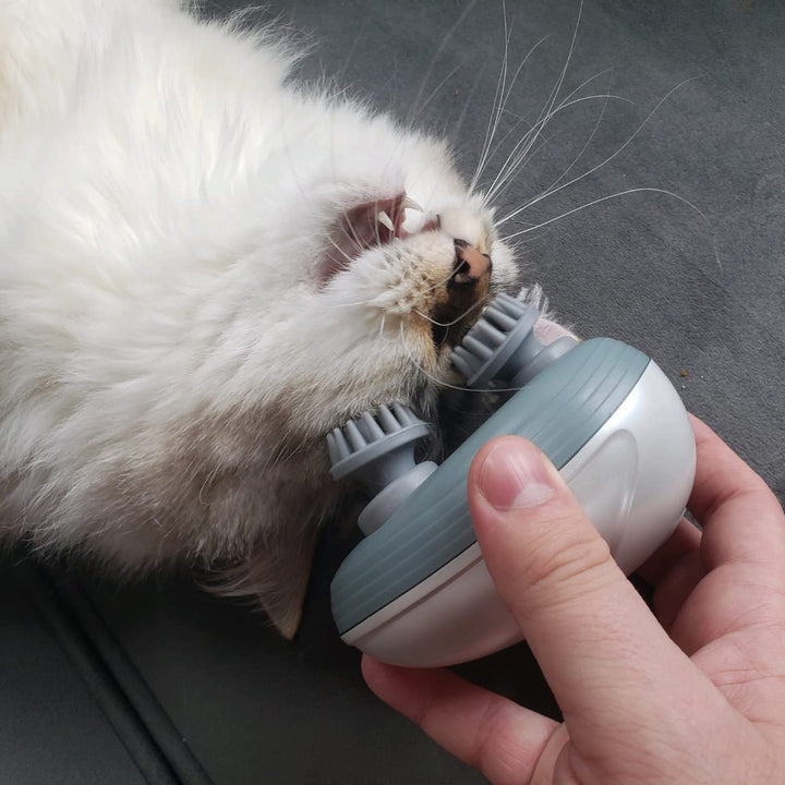 Electric Pet massager, giving pets the ultimate experience