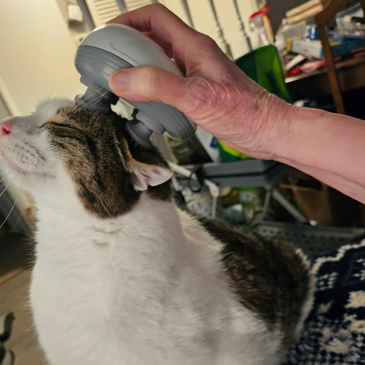 Electric Pet massager, giving pets the ultimate experience