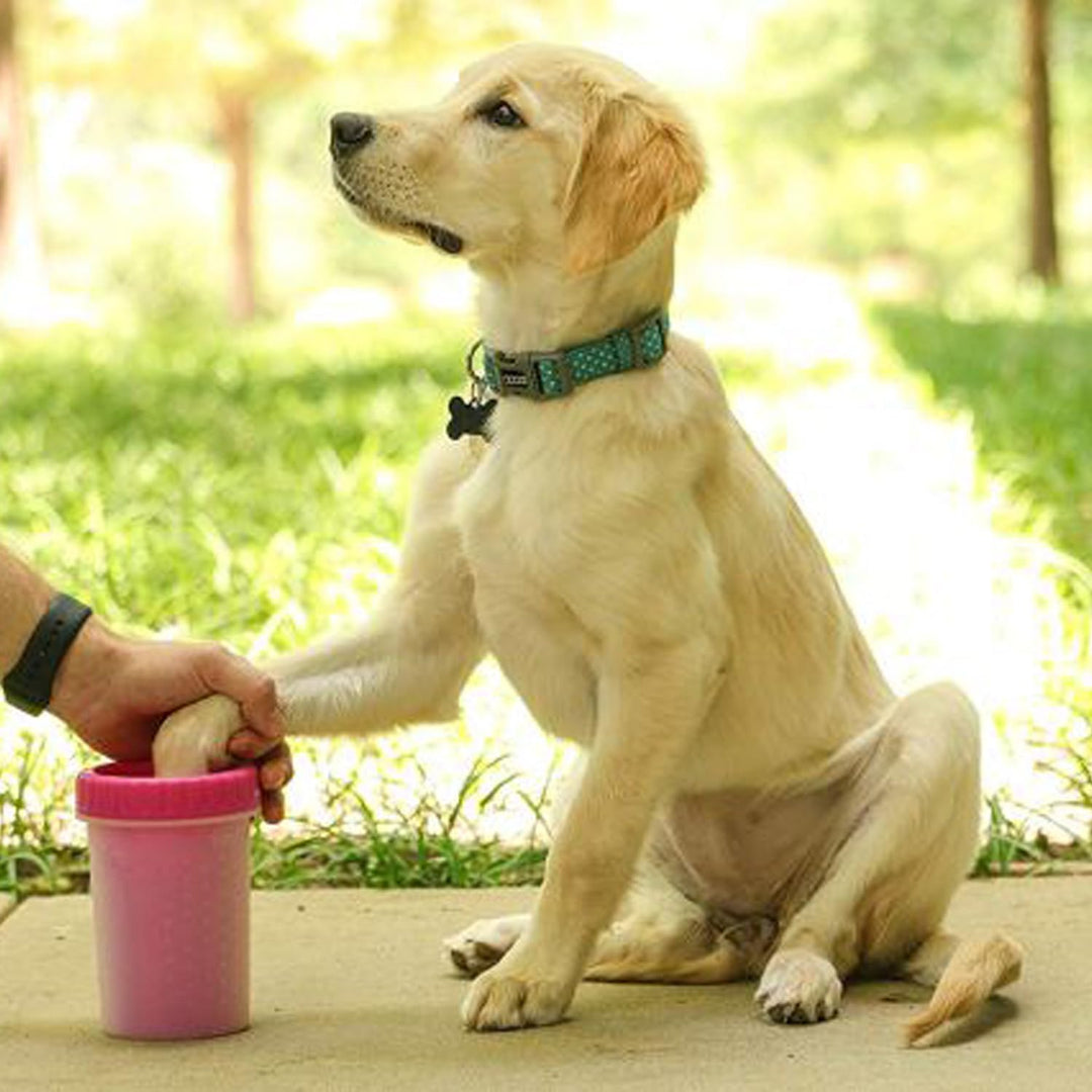 Dog Paw Cleaner, Washer, Buddy Muddy Pet Foot Cleaner for Small Medium Large Breed Dogs/Cats
