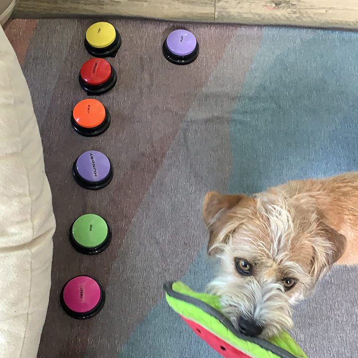 Pet Buttons for Communication Training Buzzer