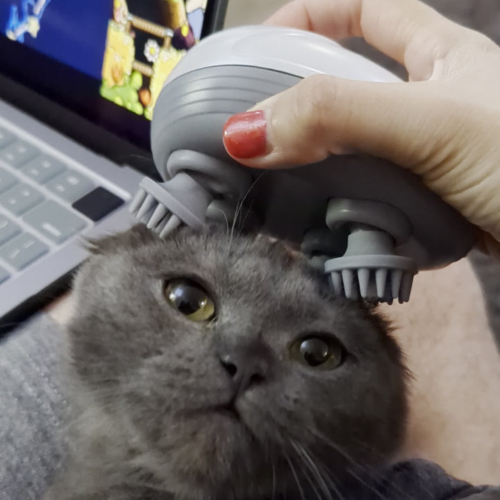 Electric Pet massager, giving pets the ultimate experience