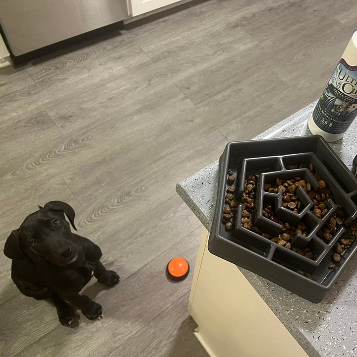 Pet Buttons for Communication Training Buzzer