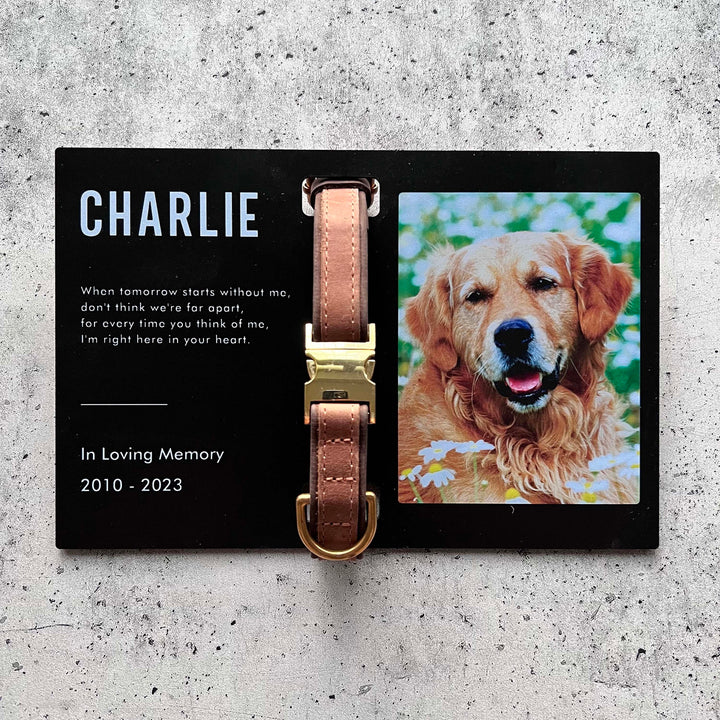Custom Memorial Standing Frame, Pet Loss Gift, Memorial Pet Collar With Photo, Pet Collar Holder, Dog Bereavement