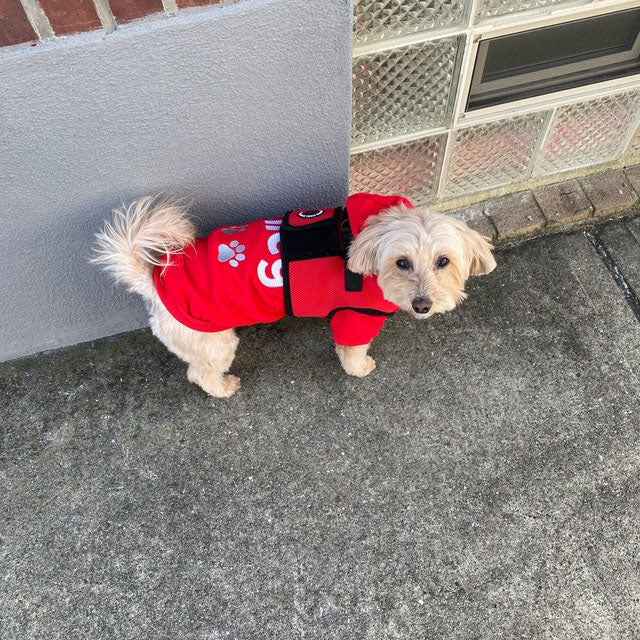 Personalized Dog Hoodie - Embroidered Name Pet Hoodie