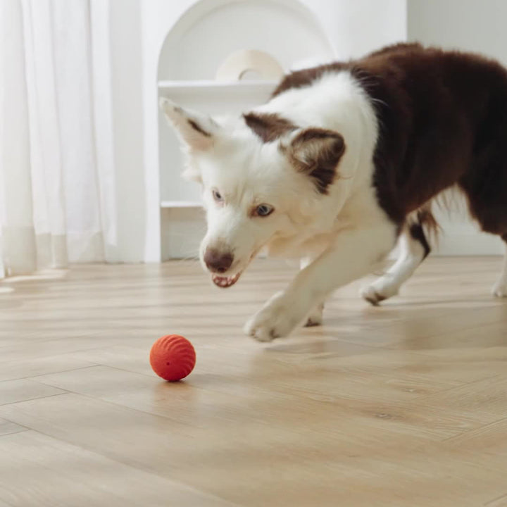 An Intelligent Jumping Ball Suitable For Medium And Small Dogs To Chase And Gnaw On