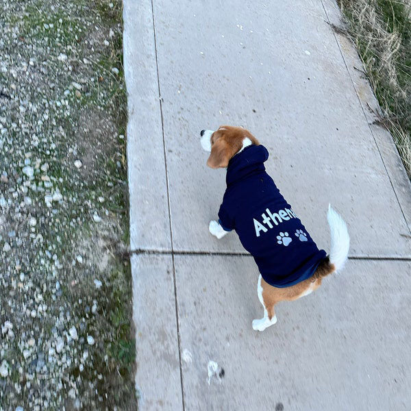Personalized Dog Hoodie - Embroidered Name Pet Hoodie