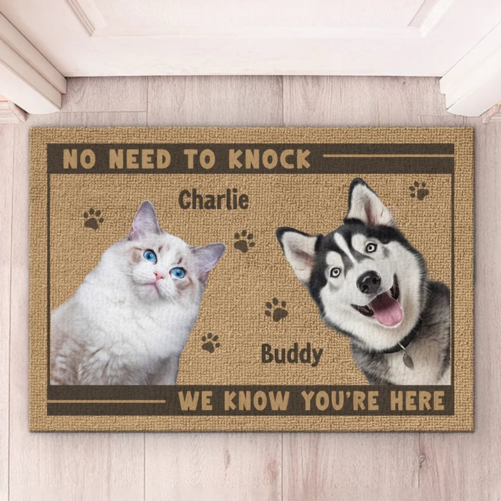 Paws Before People In This Happy Home