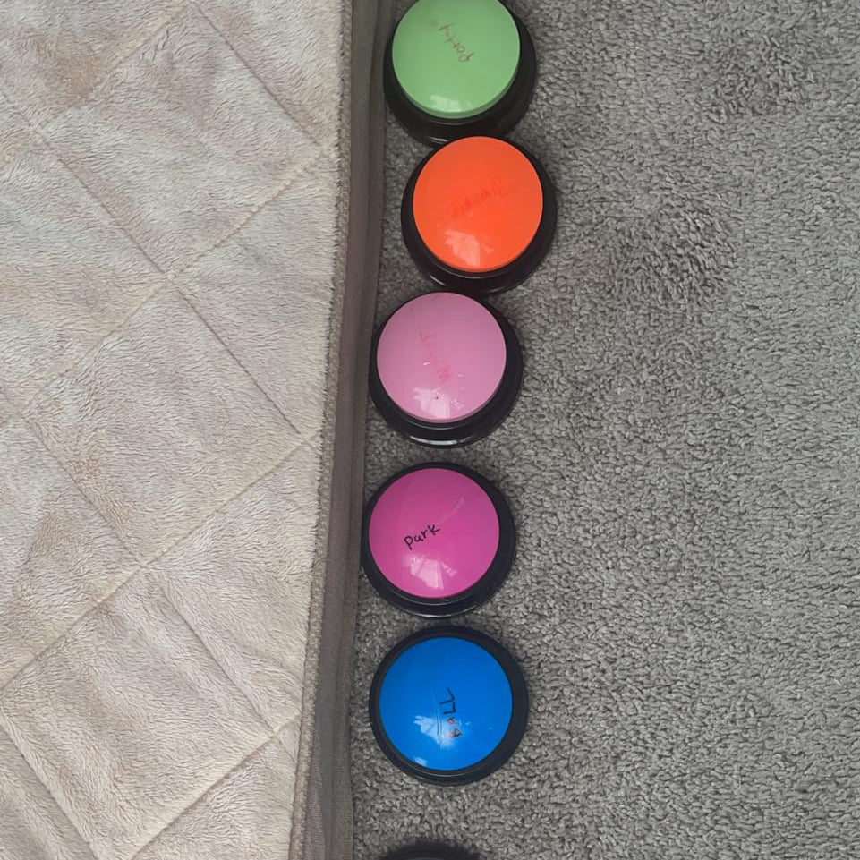 Pet Buttons for Communication Training Buzzer