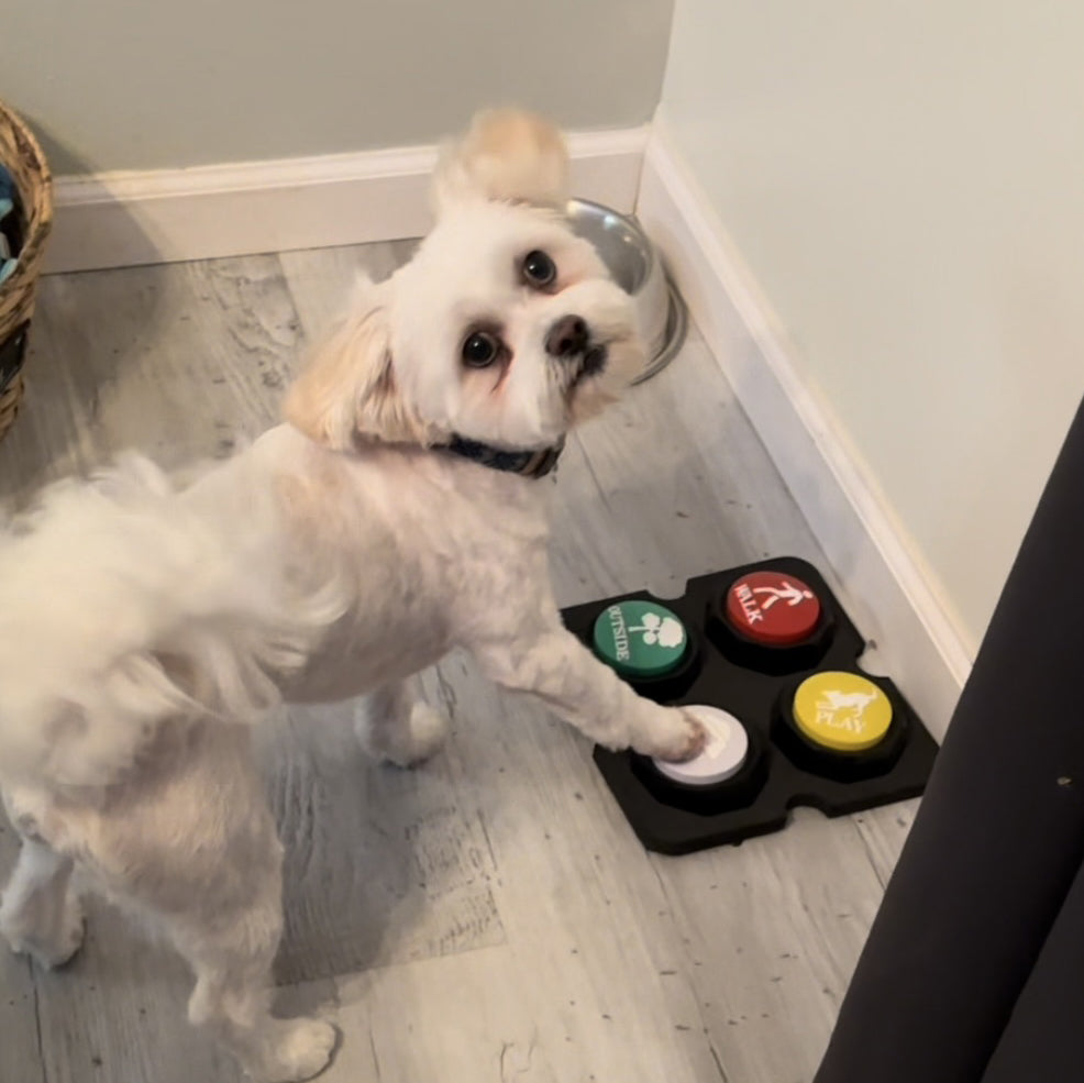Pet Buttons for Communication Training Buzzer