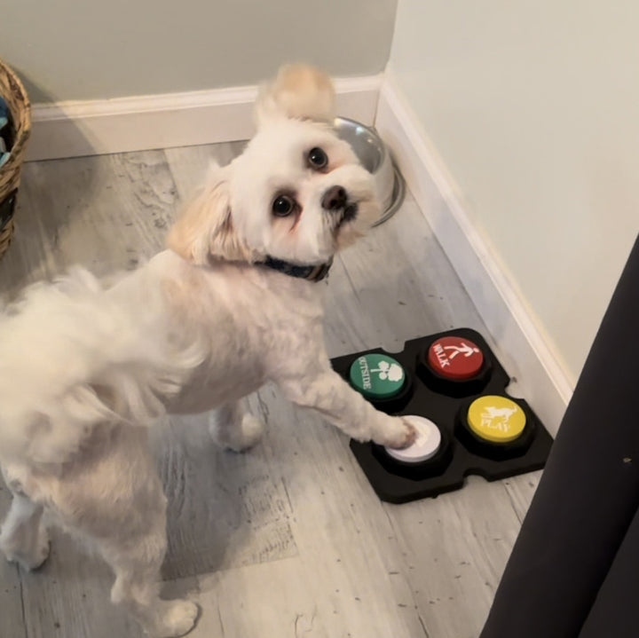 Pet Buttons for Communication Training Buzzer