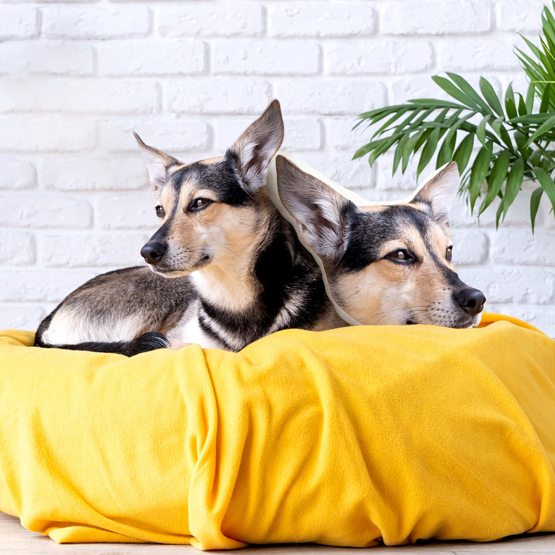 Personalized pet cushions, custom 3d pet cushions, ugly pet cushions