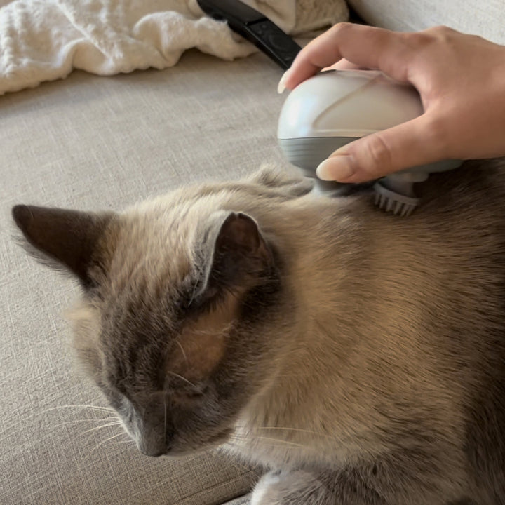 Electric Pet massager, giving pets the ultimate experience