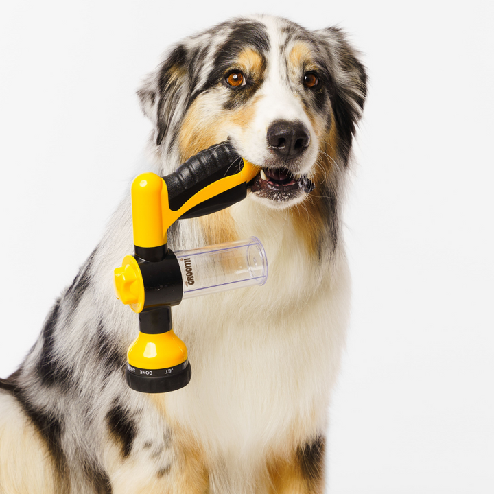 High pressure pet bath gun