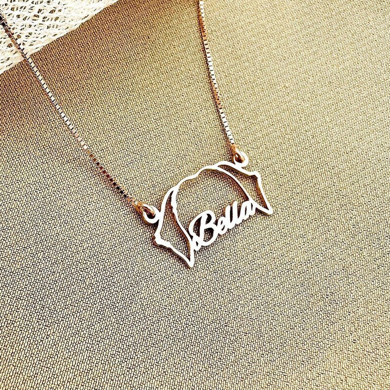 Personalized Pet Head Name Necklace💕