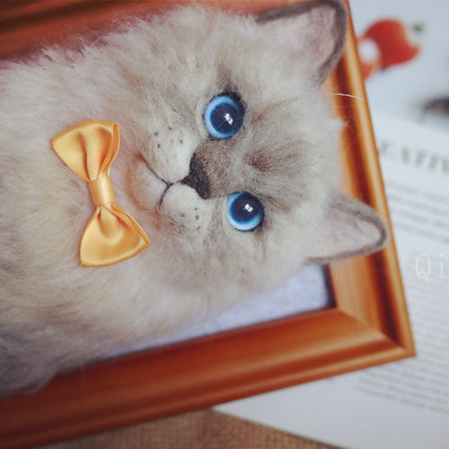 Handmade Cat Wool Felt Frame - Personalized Pet 3D Portrait