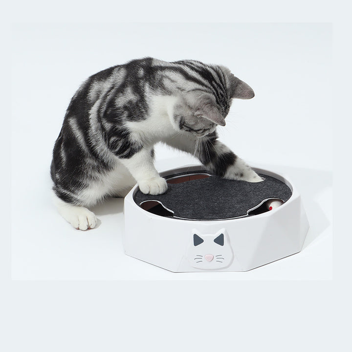 Electric mousetrap turntable cat toy