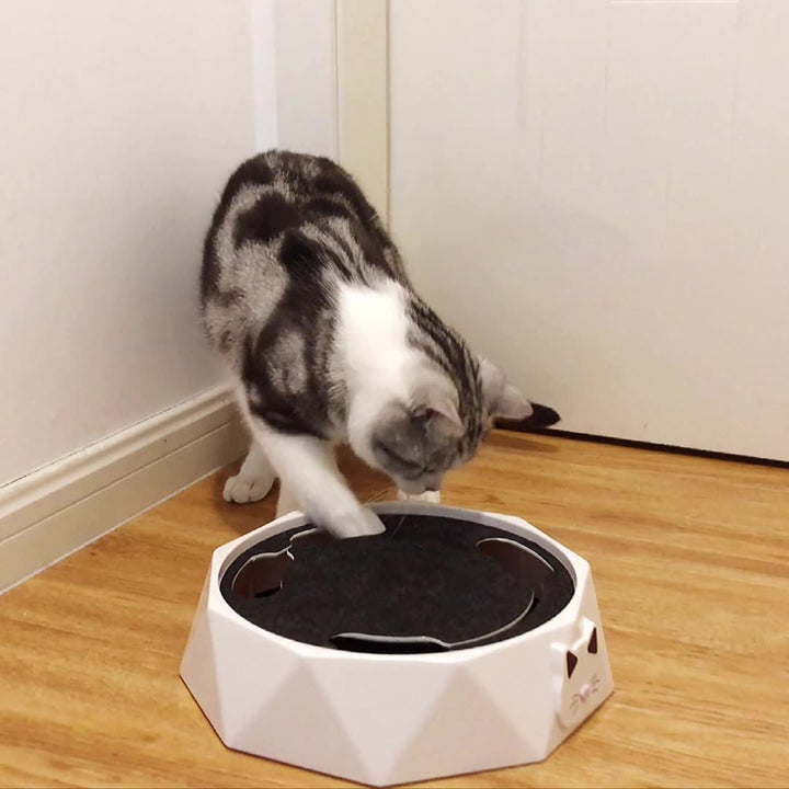 Electric mousetrap turntable cat toy