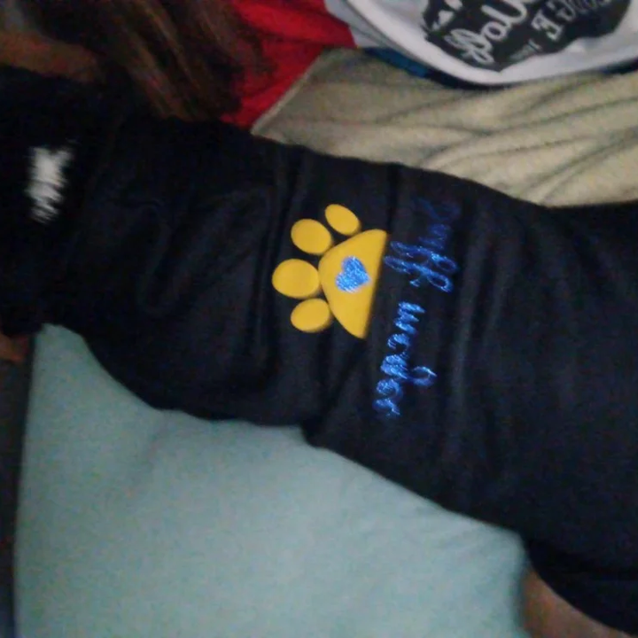 Sweat à capuche personnalisé à imprimé patte scintillante, doux et chaud, pour chien et chat