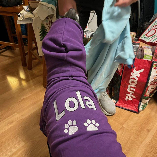 Personalized Dog Hoodie - Embroidered Name Pet Hoodie
