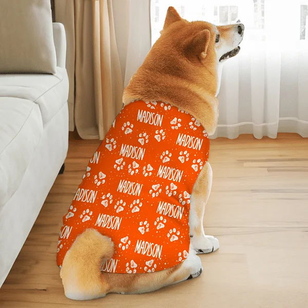 Sweat à capuche personnalisé avec imprimé patte de chien et chat, doux et chaud, avec nom, cadeau d'anniversaire pour amoureux des animaux