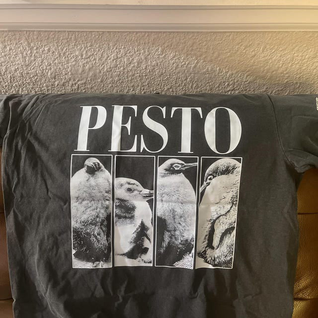Custom Pets Photo Comfort Colors Shirt
