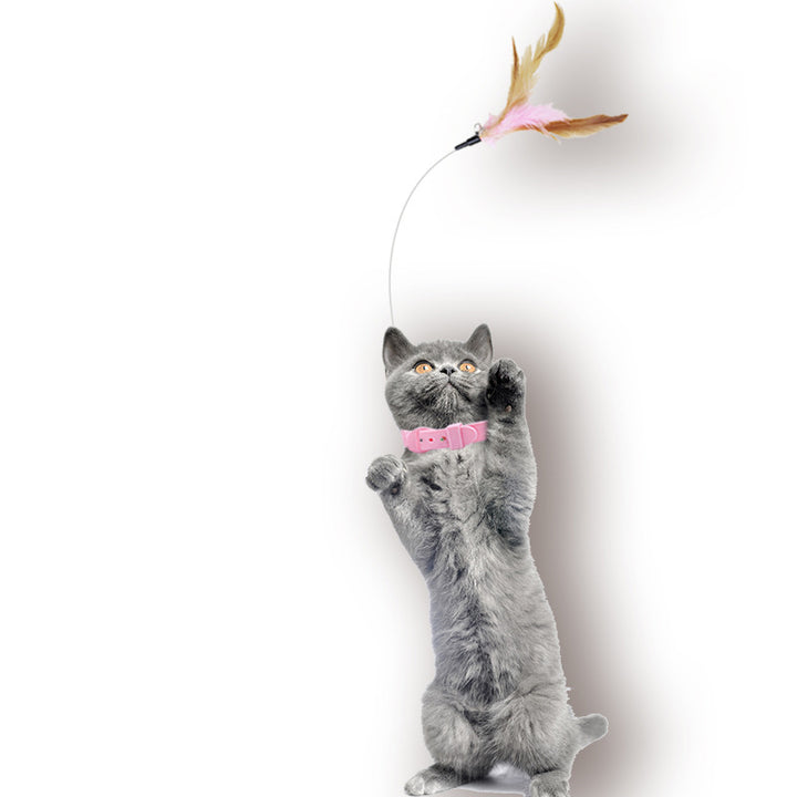 Katzenspielzeug Halsband Halsband Federglocke Katze