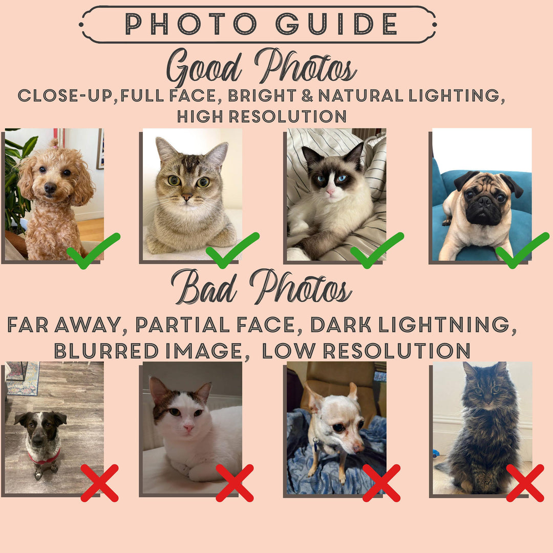 Custom Pet Pajamas Using Pet Photo + Name