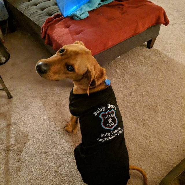 Annonce de grossesse pour chien - Annonce de grossesse pour chien - T-shirt d'annonce - T-shirt de grossesse pour chien - Révélation de grossesse pour chien - T-shirt grand frère pour chien 
